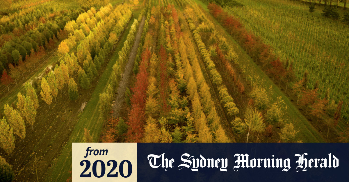 How growing plants helps you live longer and feel better